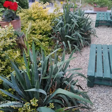 Voelgyfuerdo Apartman * Eger