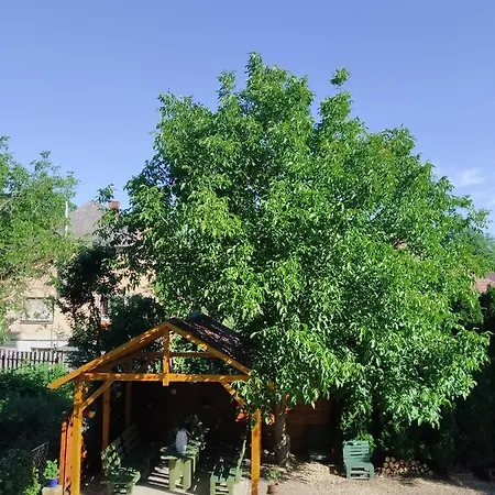 Lejlighed Voelgyfuerdo Apartman Eger